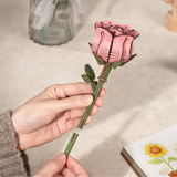 ROBOTIME Pink Rose DIY Model Kit