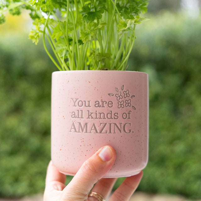 Ceramic plant pot indoor with you are amazing message