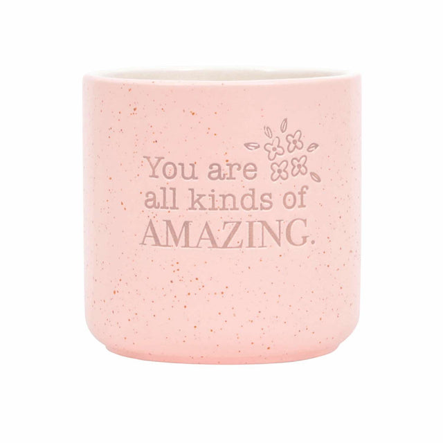 Ceramic plant pot indoor with you are amazing message