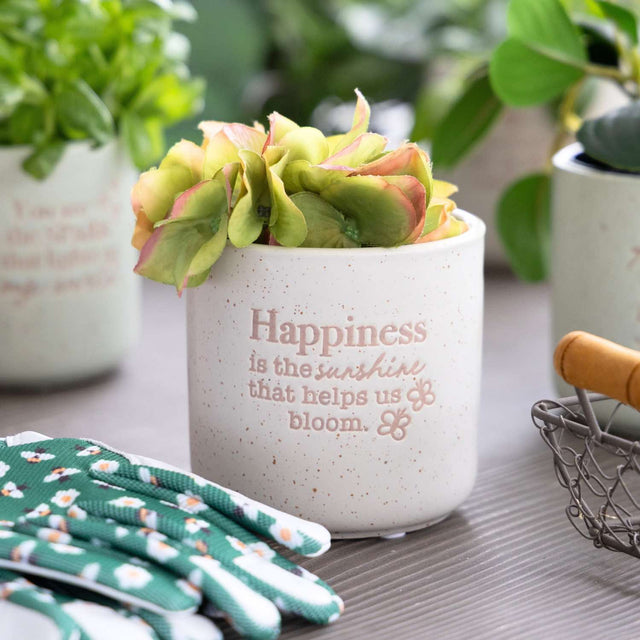 Ceramic plant pot indoor with happiness message