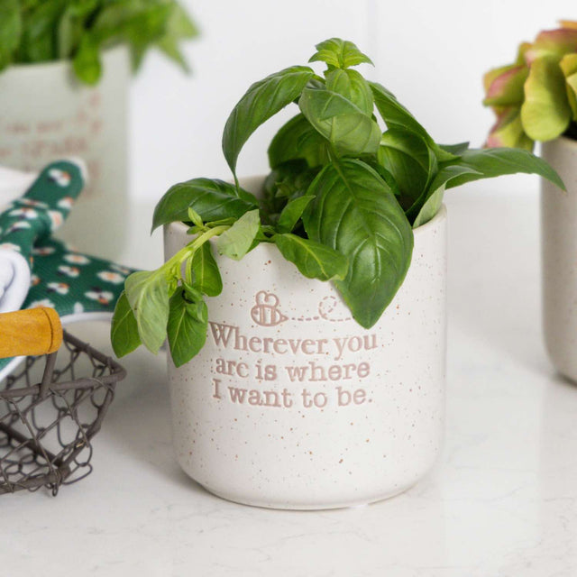 Ceramic plant pot indoor with wherever you are message
