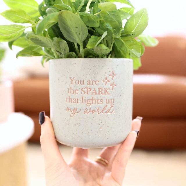 Ceramic plant pot indoor with you light up my world message