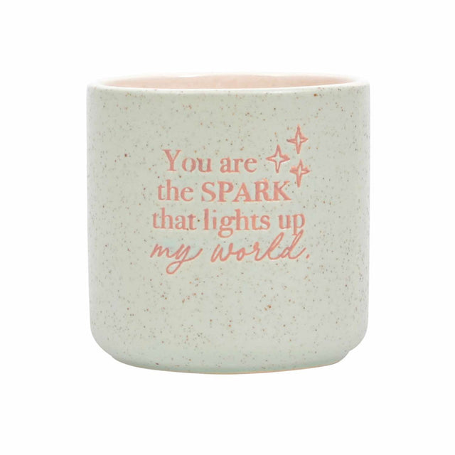 Ceramic plant pot indoor with you light up my world message
