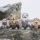 Charlie Bear Flights of Fancy owl collection including Wing Commander Swift