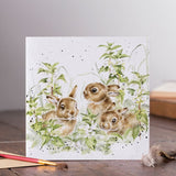 Wrendale Designs Spring Hares