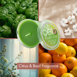Fresh herbal scented candle by Cello with vibrant citrus aroma