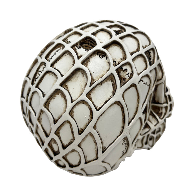 Glowing skull ornament horror home decoration ambient lighting detail