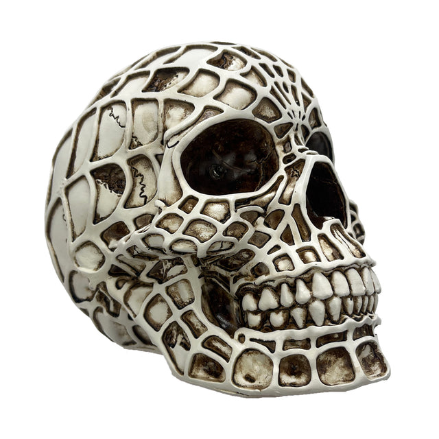 Gothic skull light bedroom decor halloween decorative accessory detail