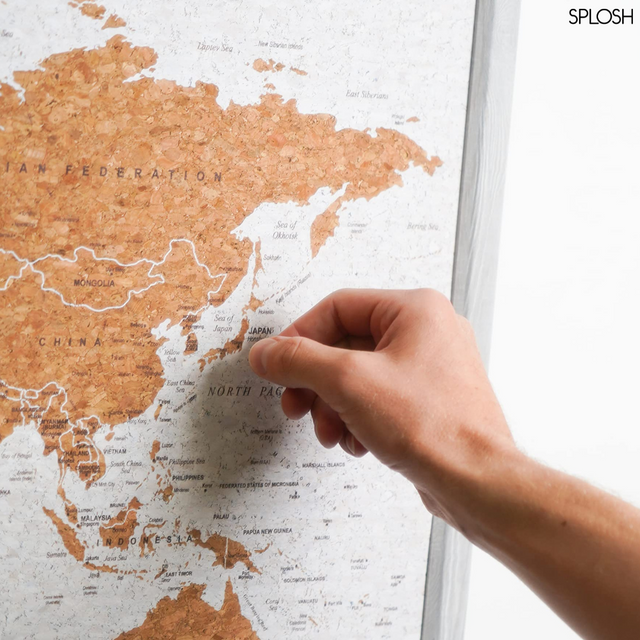 Grey world travel map cork board detail with metallic push pins