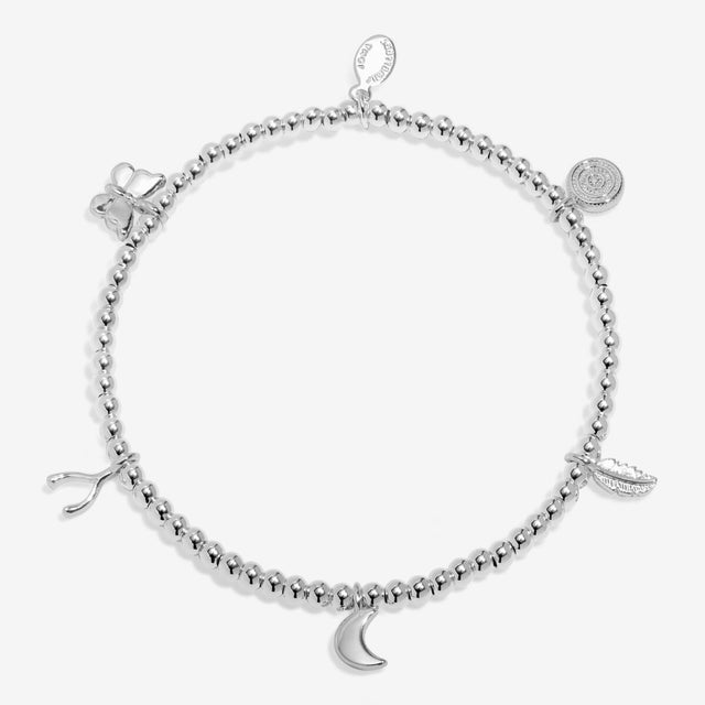 Full view of Beautiful Dreamer silver charm bracelet