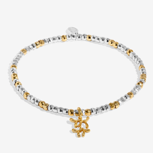 Joma Jewellery Love And Wishes silver and gold-plated bracelet shown in full with its charm