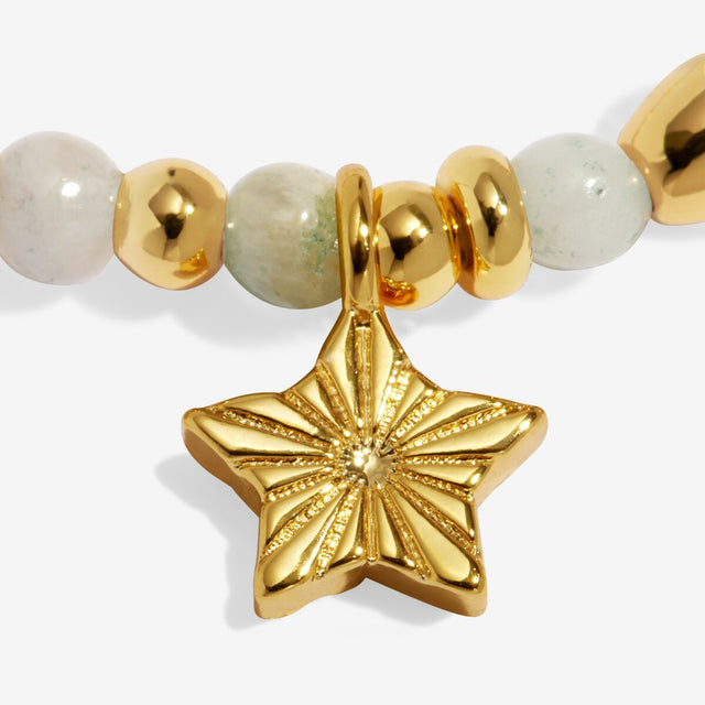 Joma Jewellery Luck bracelet charm close up gold plated detail
