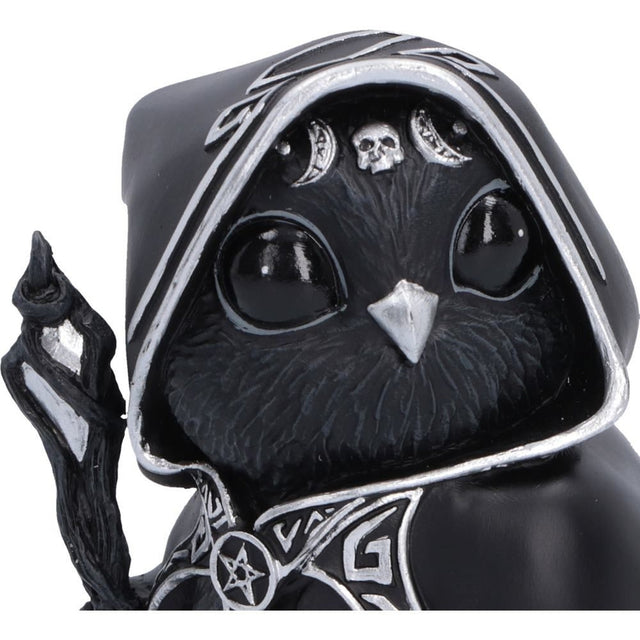 Nemesis Now Cult Cuties Featheros Owl Figurine — close-up of the owl face and hood