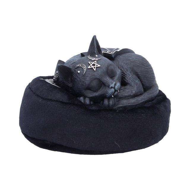 Nemesis Now Cult Cuties Malpuss Dreams Figurine — alternate front view of Malpuss on the cushion