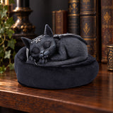 Nemesis Now Cult Cuties Malpuss Dreams Figurine — 8.8cm displayed in a dark gothic setting