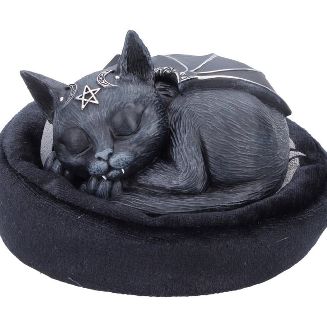 Nemesis Now Cult Cuties Malpuss Dreams Figurine — close-up of the sleeping cat face