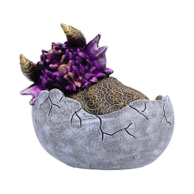 Nemesis Now Shellbound Slumber Sleeping Dragon Figurine — rear view showing the blanket and cracked egg