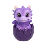 Nemesis Shellbound purple baby dragon figurine