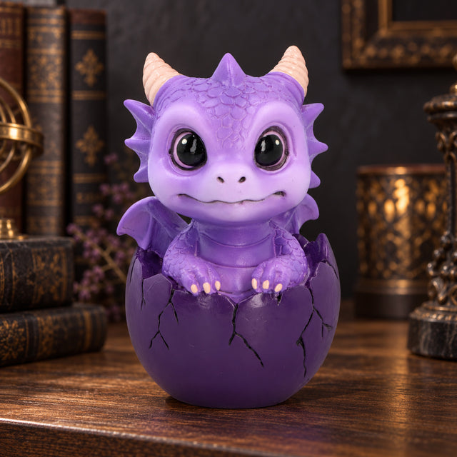Nemesis Now Shellbound Purple Baby Dragon Figurine — 8.6cm displayed in a dark gothic setting