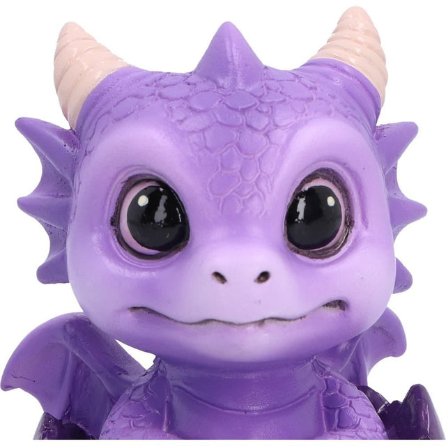 Nemesis Now Shellbound Purple Baby Dragon Figurine — close-up of the dragon face
