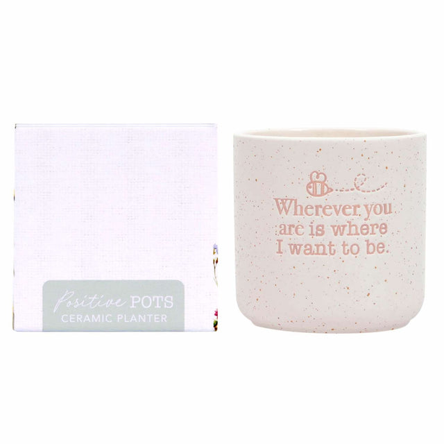 Splosh wherever positive pot pastel ceramic planter