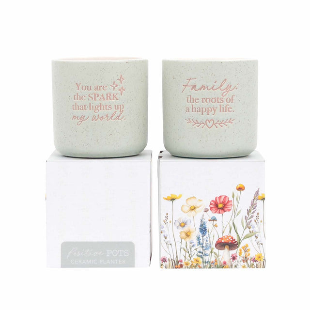 Splosh world positive pot ceramic planter pastel finish