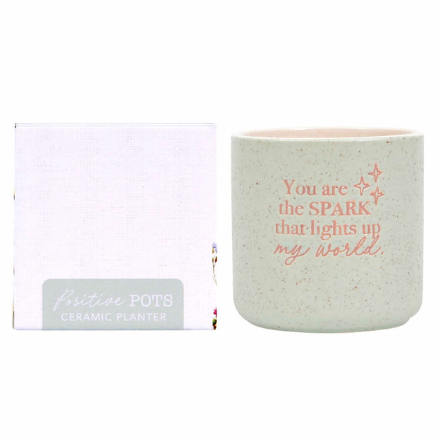 Splosh world positive pot ceramic planter pastel finish