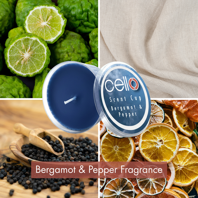 Premium scented candle with woody notes and long lasting fragrance