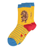 Wrendale Designs Little One Size 9-12 Children's Socks Dachshund
