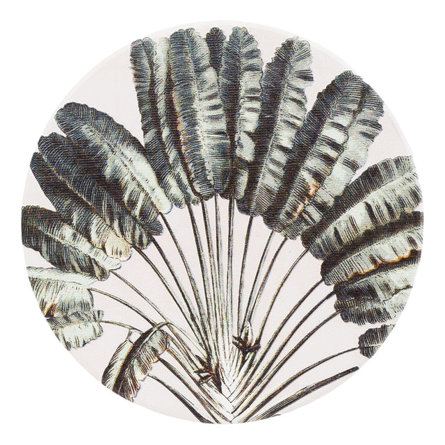 Splosh Exotic Fan ceramic coaster in green and off-white