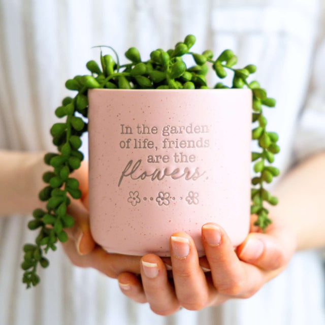 Splosh friendship plant pot gift with inspirational message