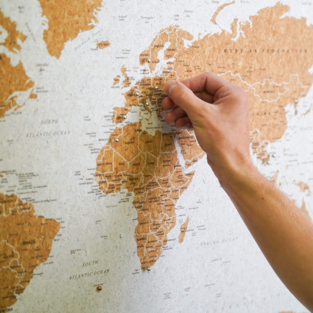 White world travel map cork board detail with metallic push pins