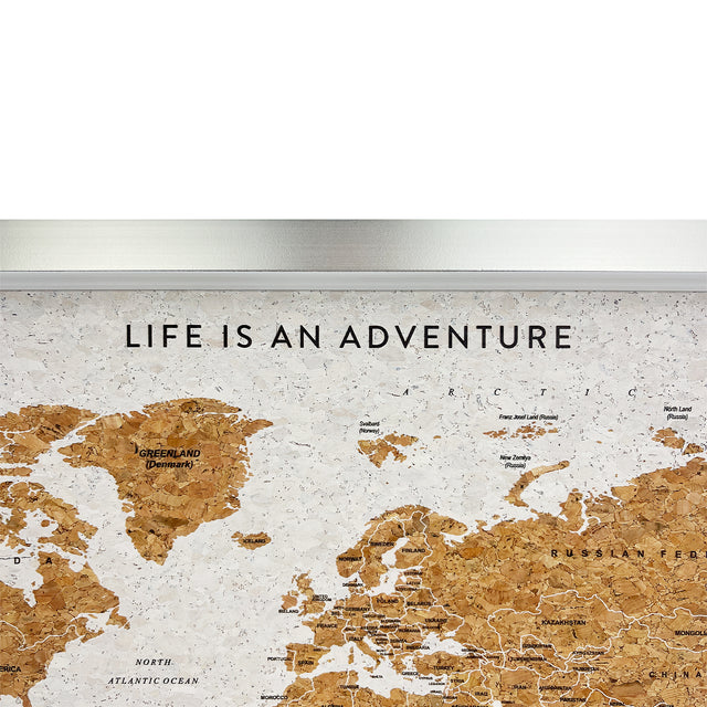 World travel map cork board detail with gold and silver pins
