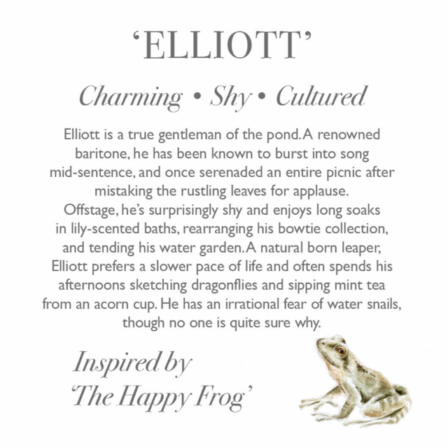 Wrendale Designs Elliott Junior Frog plush with character story gift tag