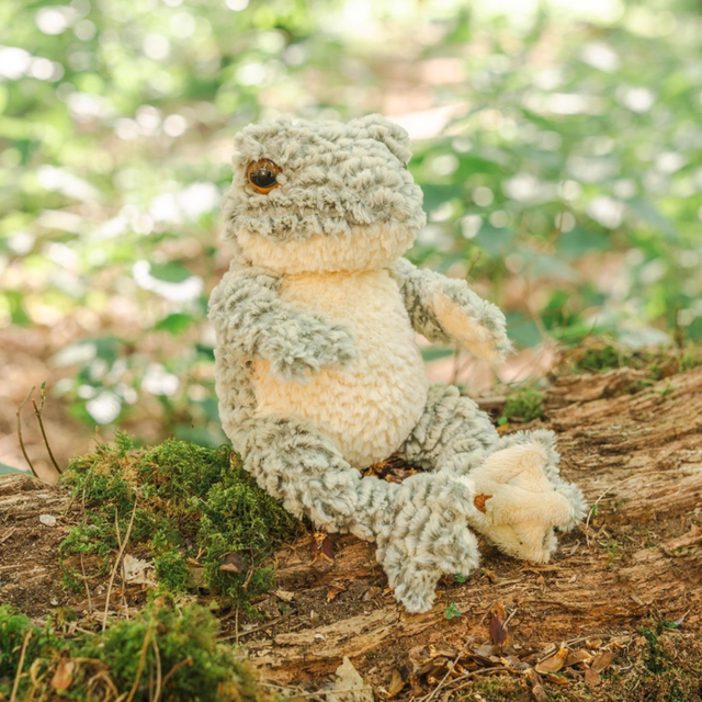 Wrendale Designs Elliott Junior Frog plush toy with embroidered wren detail lifestyle