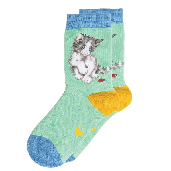 Wrendale Designs Ladybird Size 9-12 Children's Socks Cat
