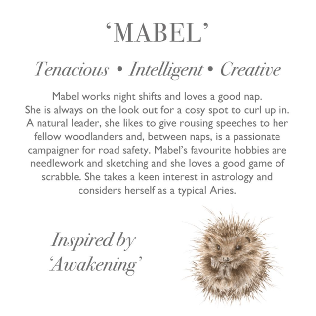 Wrendale Designs Mabel hedgehog plush with character story gift tag
