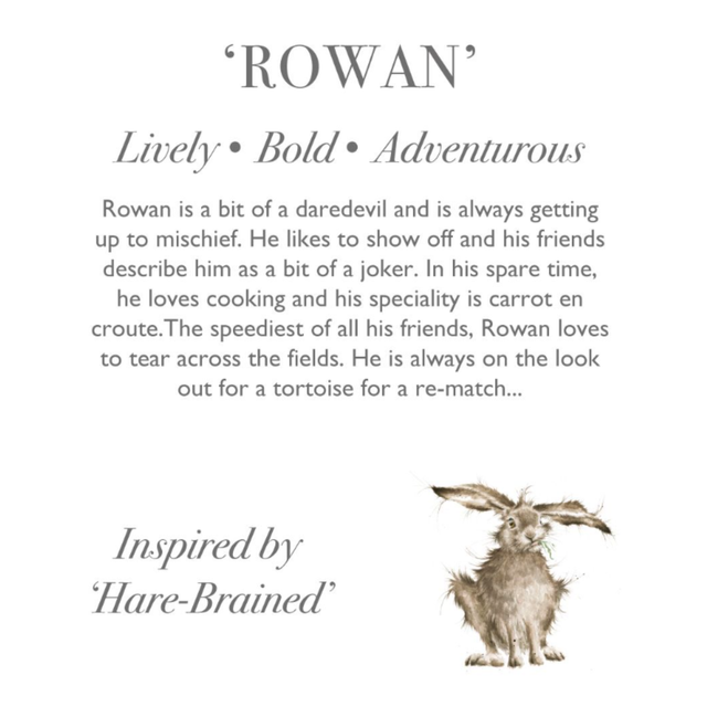 Wrendale Designs Rowan Hare plush with character story gift tag