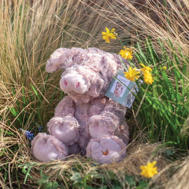 Wrendale Designs Vanessa Pig plush toy with embroidered wren detail lifestyle