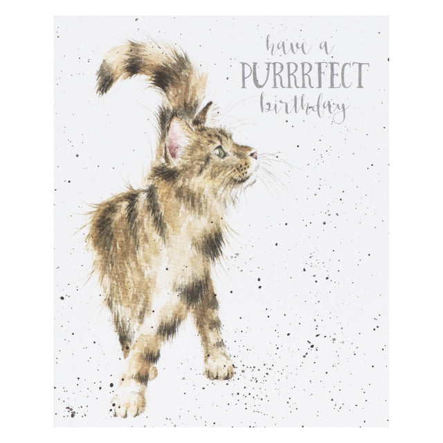 Wrendale Designs Just Purrfect Card