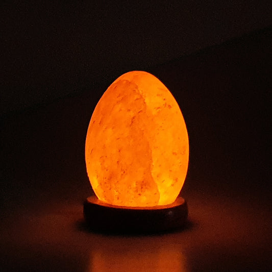 The Salt of Life - Himalayan Salt Lamp Pebble USB
