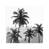 Splosh Tranquil Ceramic Coaster - Palm Forest
