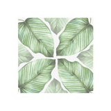 Splosh Botanical Ceramic Coaster - Banana Leaf