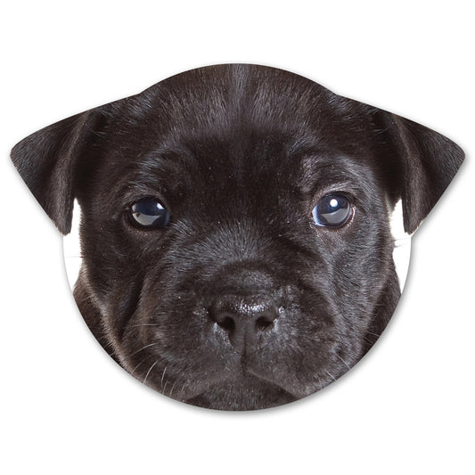 Splosh Puppy Coaster - Buddy
