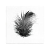 Splosh Tranquil Ceramic Coaster - Black Feather