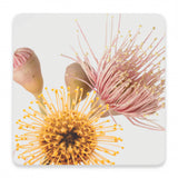 Splosh Flourish Ceramic Coaster - Native Bloom