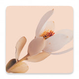 Splosh Flourish Ceramic Coaster - Pink Flower