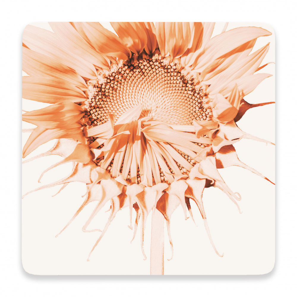 Splosh Flourish Ceramic Coaster - Sunflower | Collectables